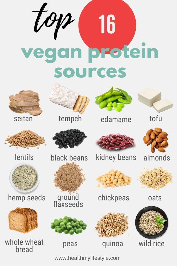Top Plant-Based Protein Sources for Every Meal