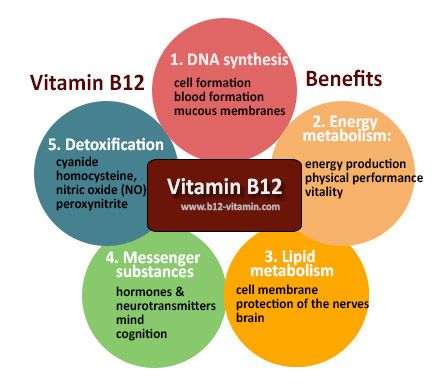 Vitamin B12: Who Needs It and Why